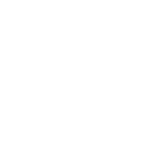 Icon for Lausanne