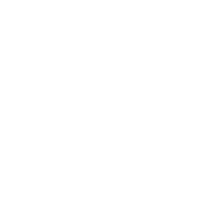 Icon for Zurich