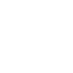 Icon for Amsterdam