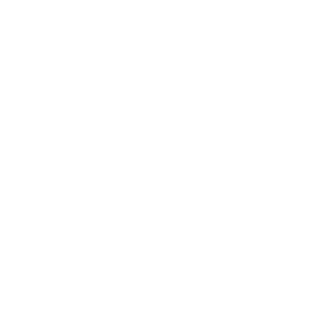 Icon for Berlin