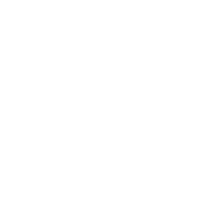 Icon for Copenhagen