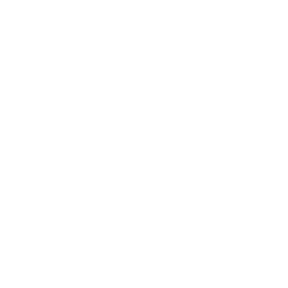Icon for Budapest