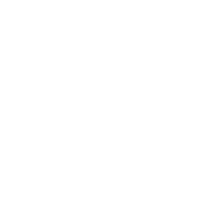 Icon for Vienna